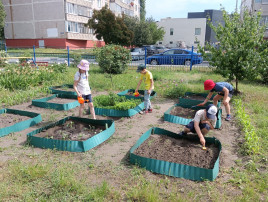 Работы в огороде (гр.№5) Работы в огороде (гр.№5).